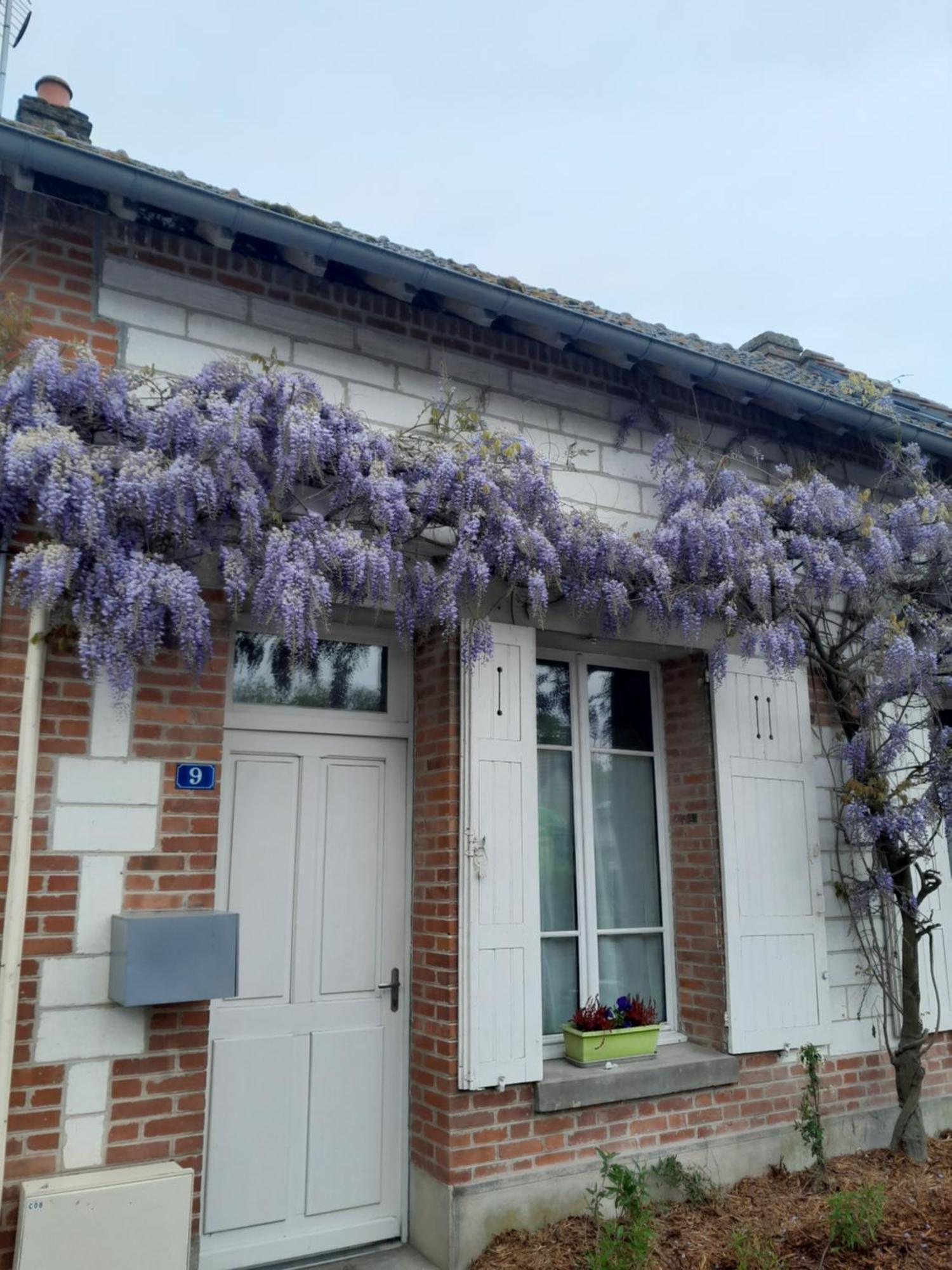 Gite, Maison A La Campagne Ardennes, Aisne,Marne Le Thour Camera foto